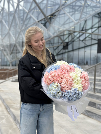 Пастельный микс из 11 гортензий