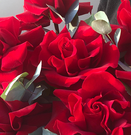 Корзина с 9 красными ажурными розами и эвкалиптом