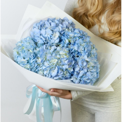 Букет 5 Гортензий голубых