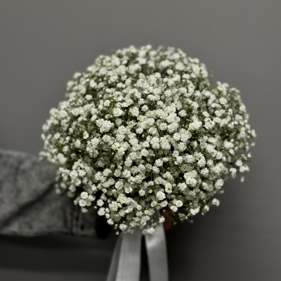 Букет невесты из Гипсофилы купить с доставкой в Казани