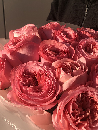 25 пионовидных роз