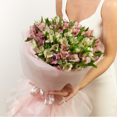 Букет 25 нежных альстромерий