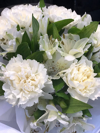 Чистая любовь S